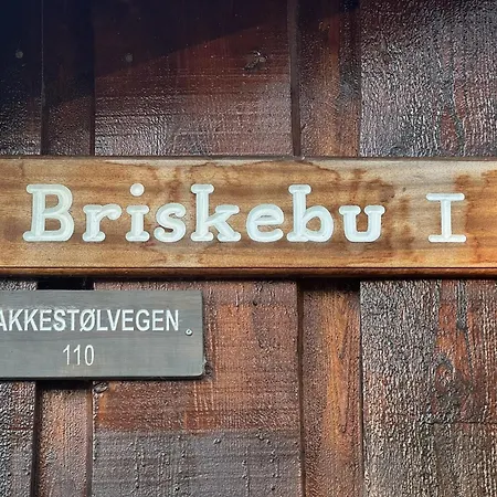Briskebu, Cosy By Slopes