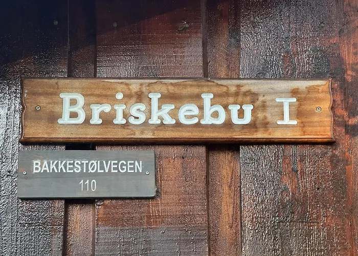 Briskebu, Cosy By Slopes